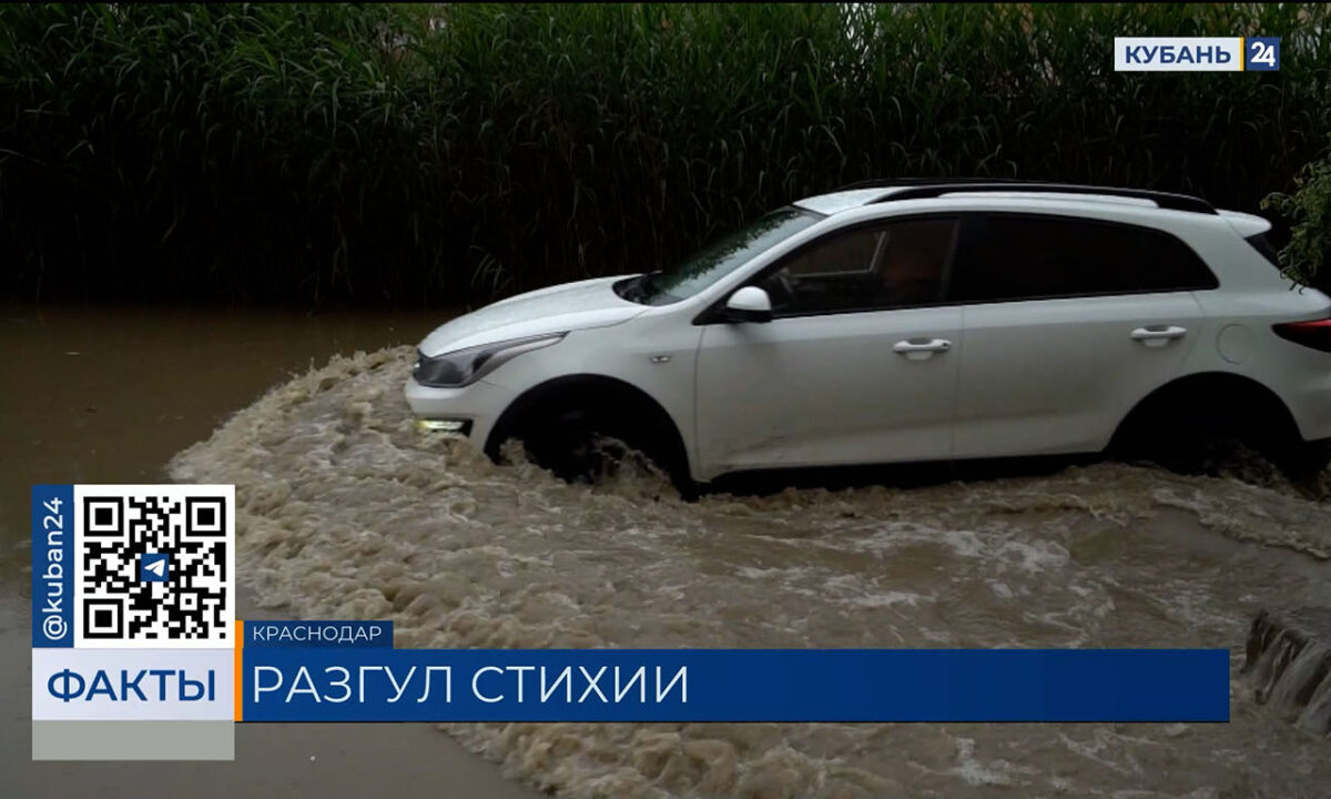    Видео канала «Кубань 24»