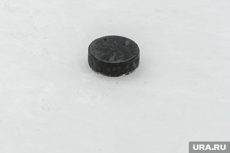    Сборная Франции выступит на Олимпиаде-2026 вместо российских хоккеистов