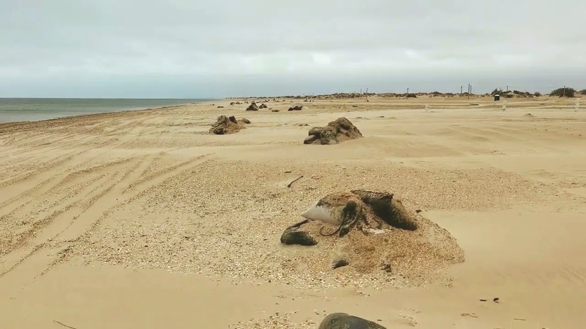 И это тоже пляжи Анапы. Грустно. Хотя есть и более оптимистичные фотографии с купающимися и загорающими