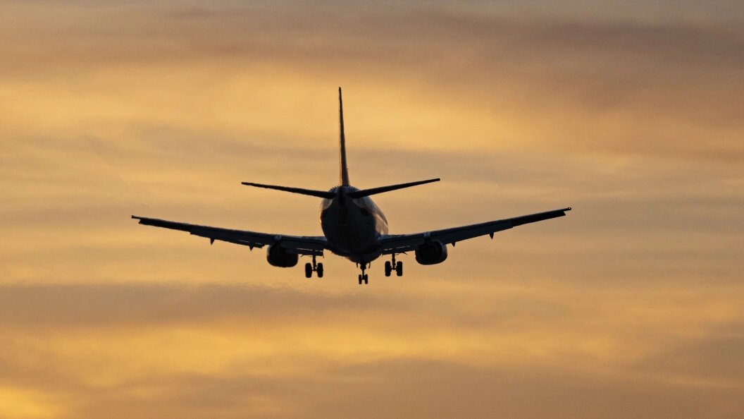    Фото: Bayne Stanley/Globallookpress