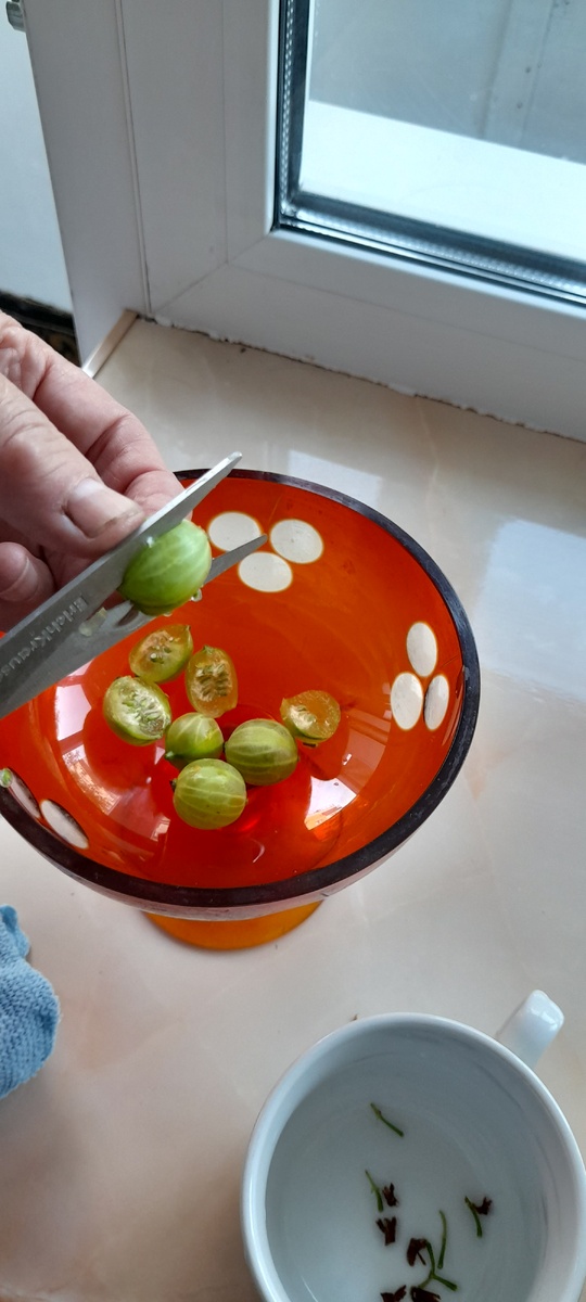 В кратце. Режем и избавляемся от внутриностей