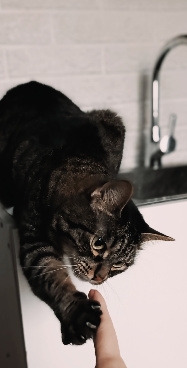 Иди сюдаааа)))