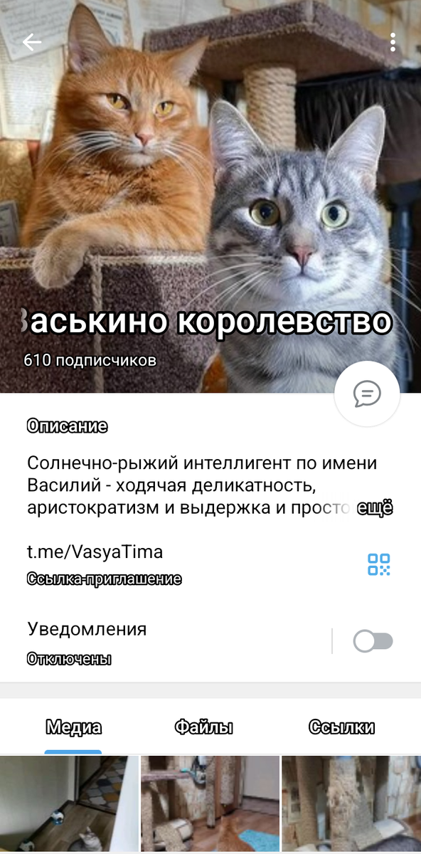 Скрин автора