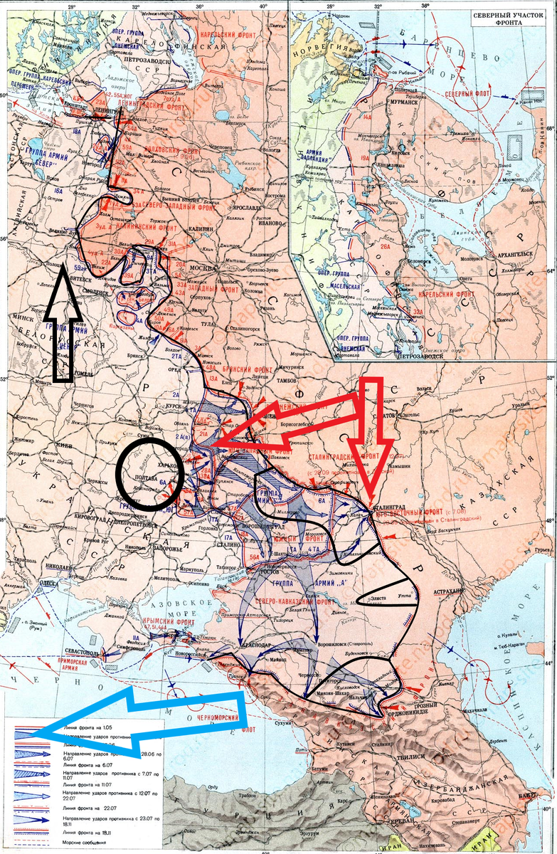 (Фото взято из открытых источников).