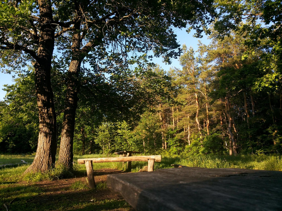 фото с интернета, мне было не до фотографий