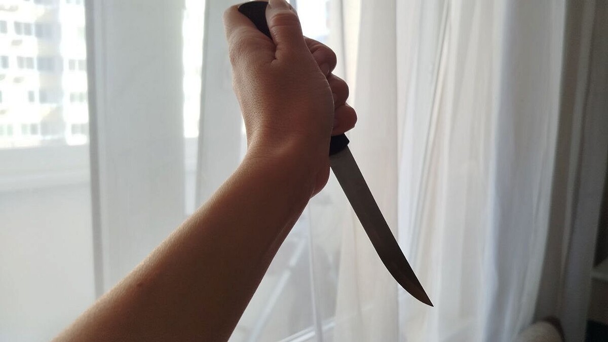    Фото: телеканал «Краснодар»