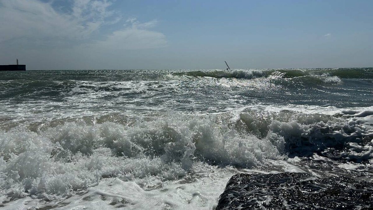    Фото: телеканал «Краснодар»