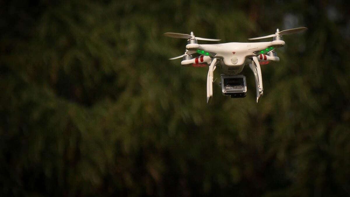 Дрон в лесу