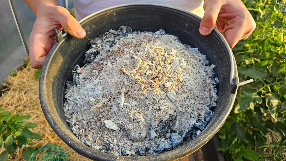 У нас золы много от бани, но не используем