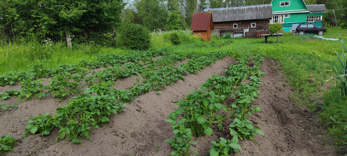 Результаты трудов.
