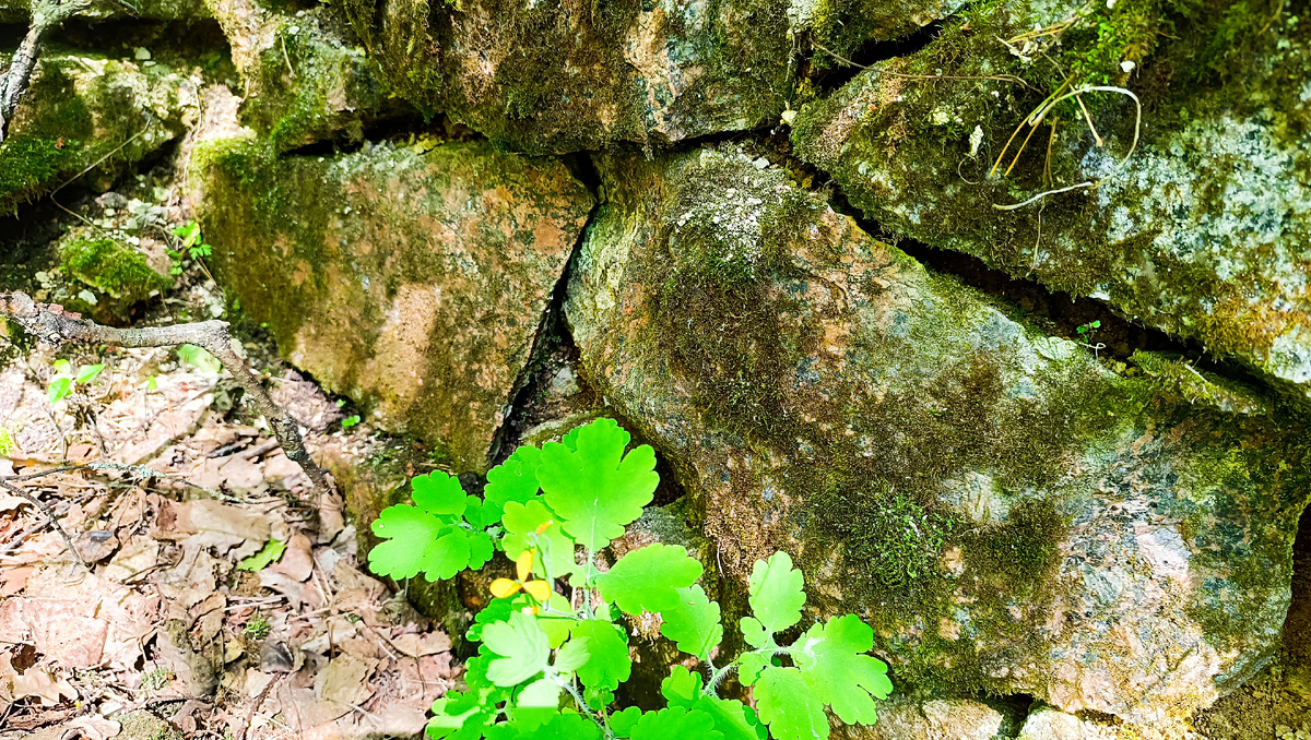 Старый фундамент