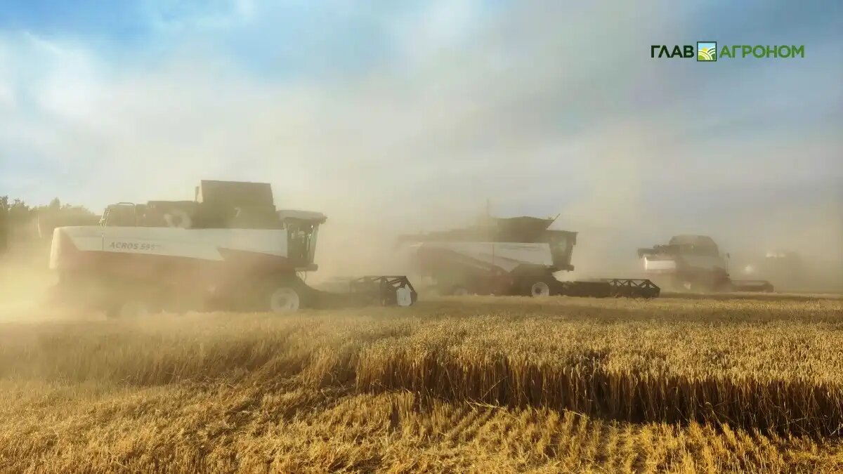 Фото:© Артем Борисов / Glavagronom.ru
РФ останется лидером по экспорту пшеницы в 2025 и 2026 годах, заявили в ФАО