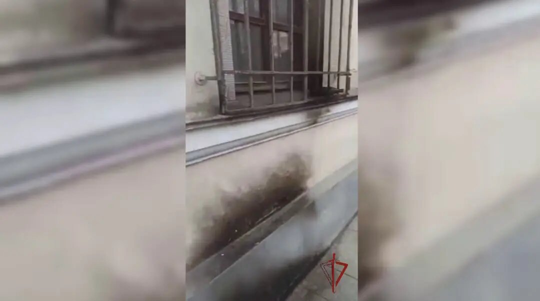    Фото: скриншот из видео пресс-службы Росгвардии.