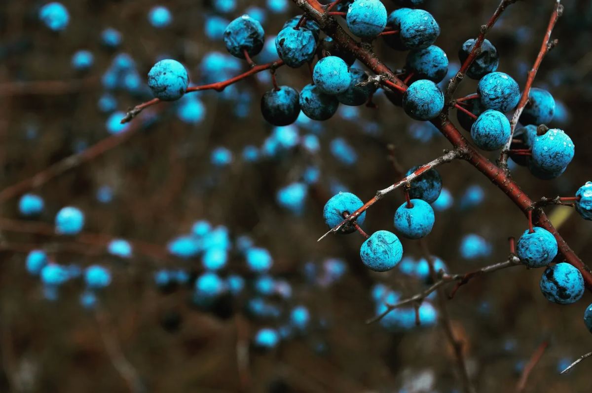 Источник фото: photocentra.ru