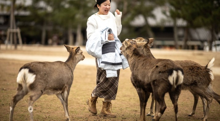 Олени занимаются рэкетом людей