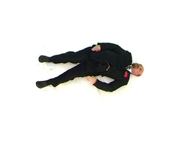 "Ленин, переворачивающийся в гробу", А. Шабуров 2005