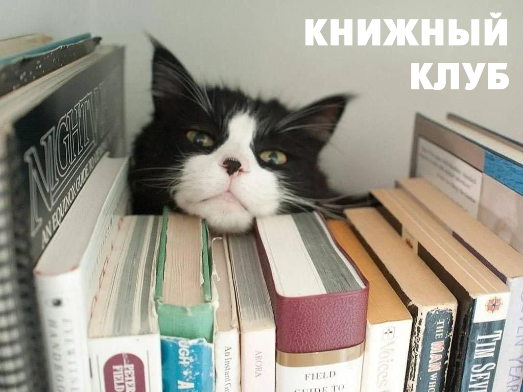 Источник фото: Unsplash