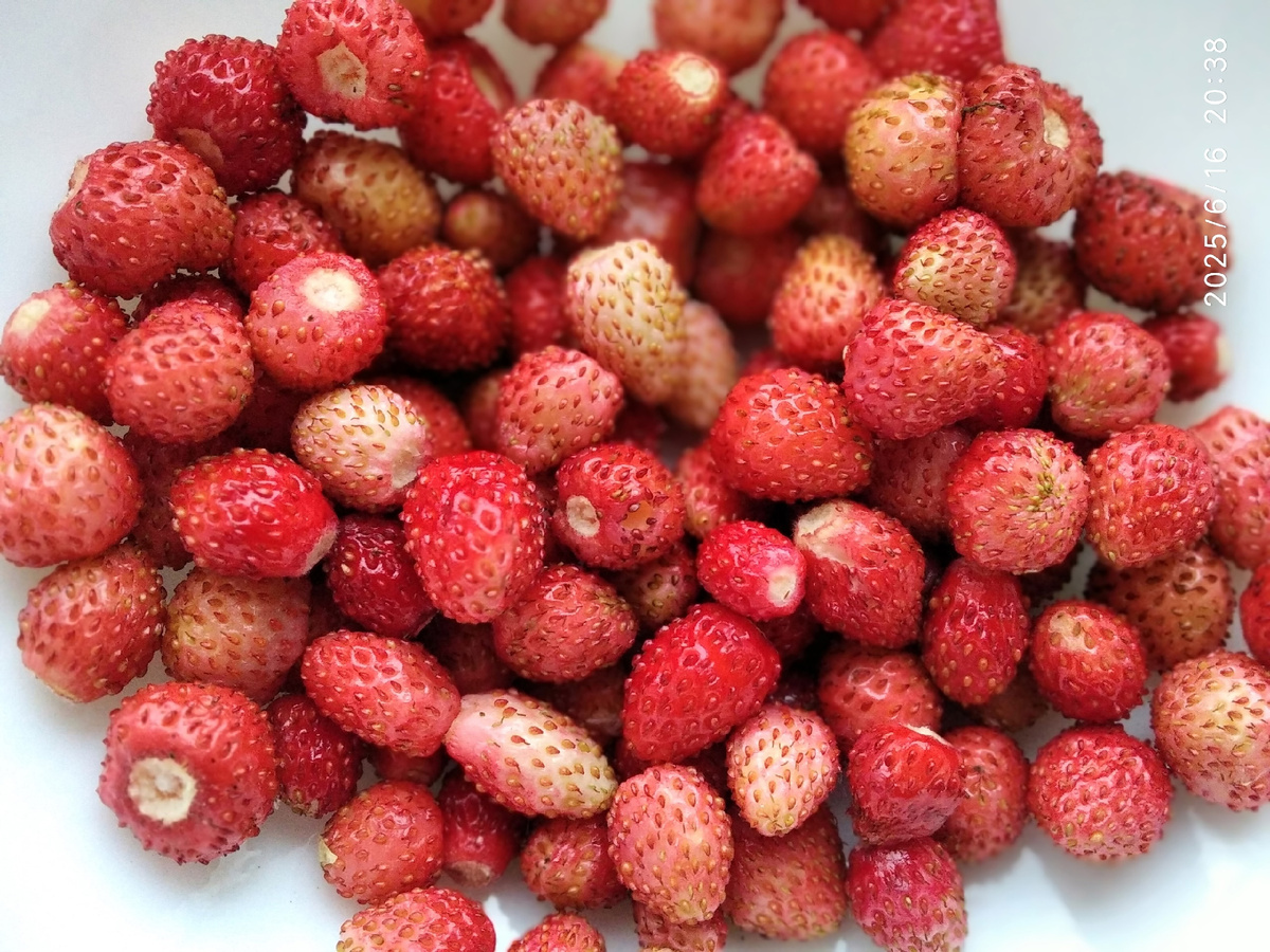 моя фотография