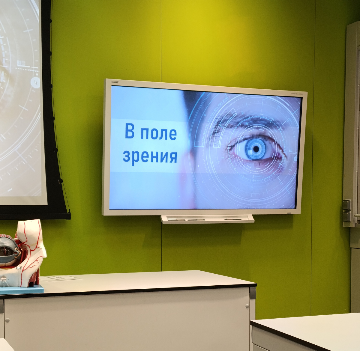 В поле зрения(фото автора). 