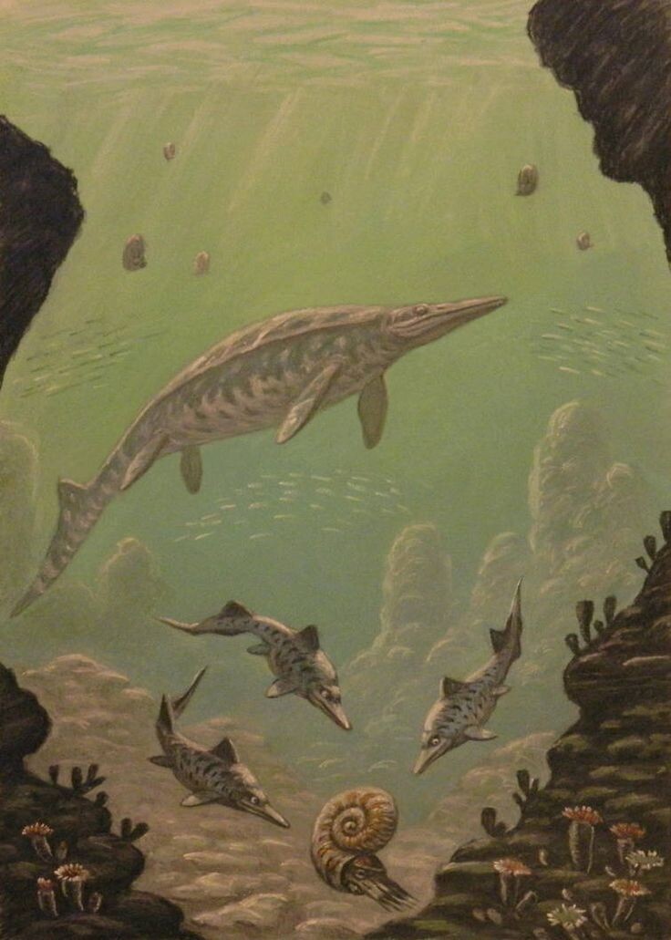 Формация Фаврет: гигантский цимбоспондил (сверху) и три миксозаврида-фалародона (снизу) атакующих моллюска.