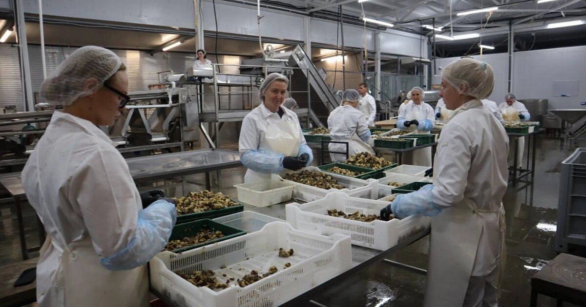 Фото: пресс-служба администрации Краснодарского края