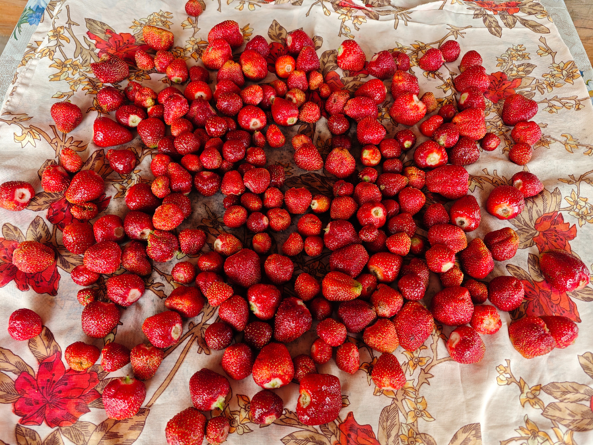 Фото автора канала 