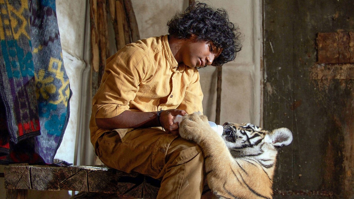 Кадр из фильма "Мой тигр"