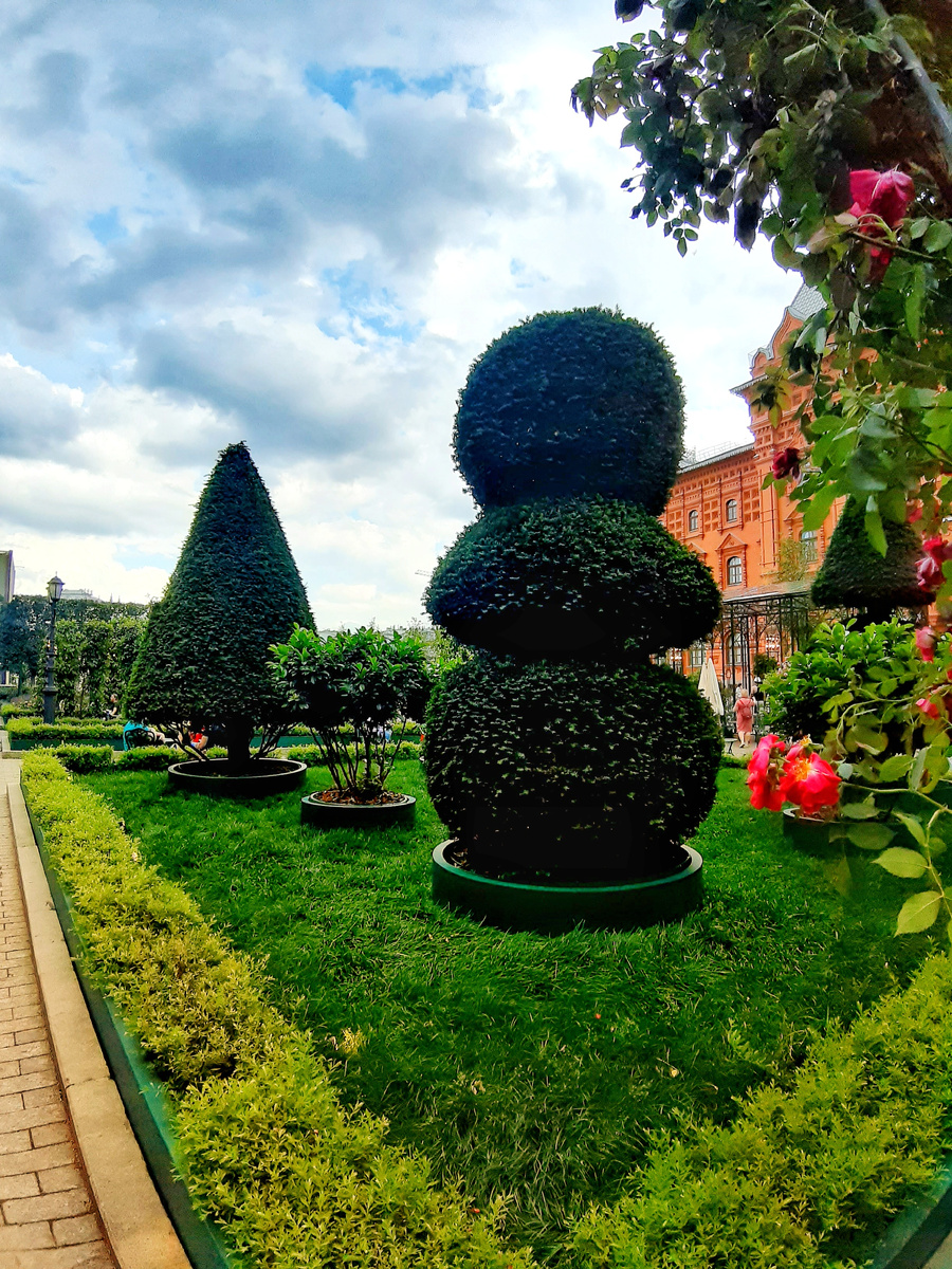 Лето 2025 в Москве. Топиарный сад на площади Революции. Фестиваль «Сады и цветы».