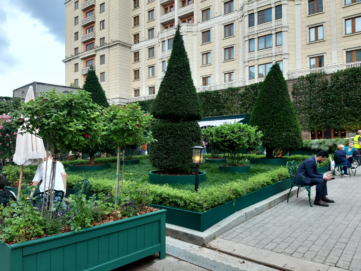 Лето 2025 в Москве. Топиарный сад на площади Революции. Фестиваль «Сады и цветы».
