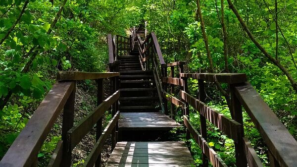    © РИА Новости Крым