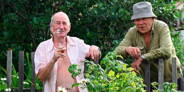 Может ли сосед требовать установки забора между участками? /Фото: russia.com.