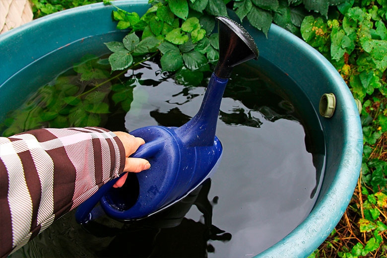    Shutterstock/FOTODOM