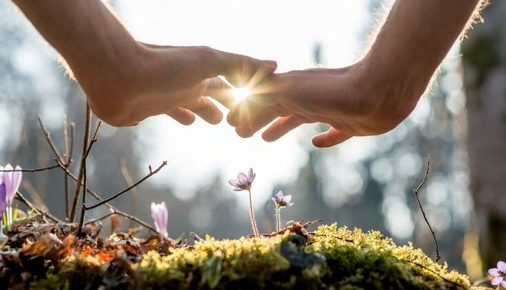 Источник фото: https://i.pinimg.com/736x/fb/5c/92/fb5c92ea2493f41595f0534f25bf0cd8.jpg