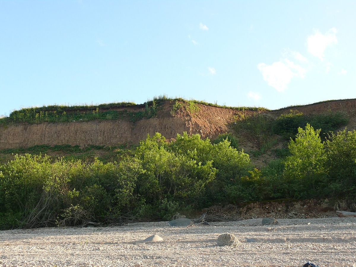 Источник: wikipedia.org Автор: Дар Ветер CC BY-SA 3.0