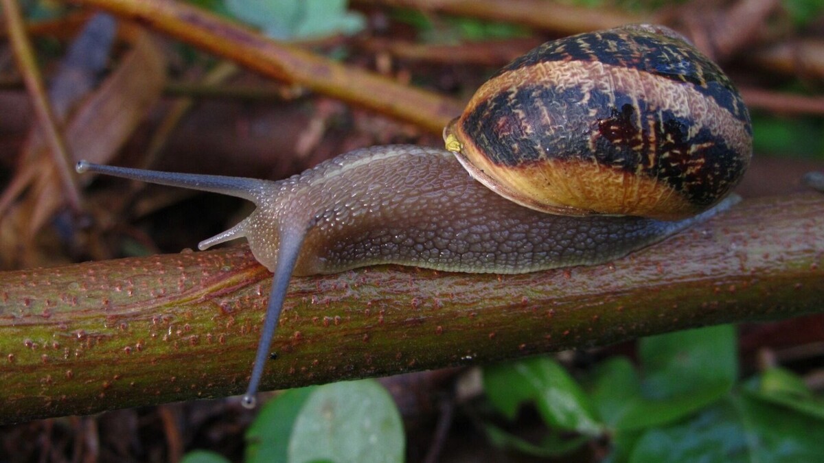     Источник: freepik.com