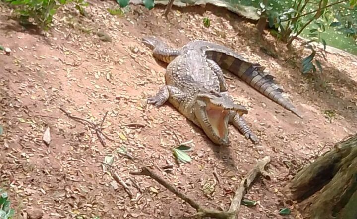    Фото:Наталья Сорокина