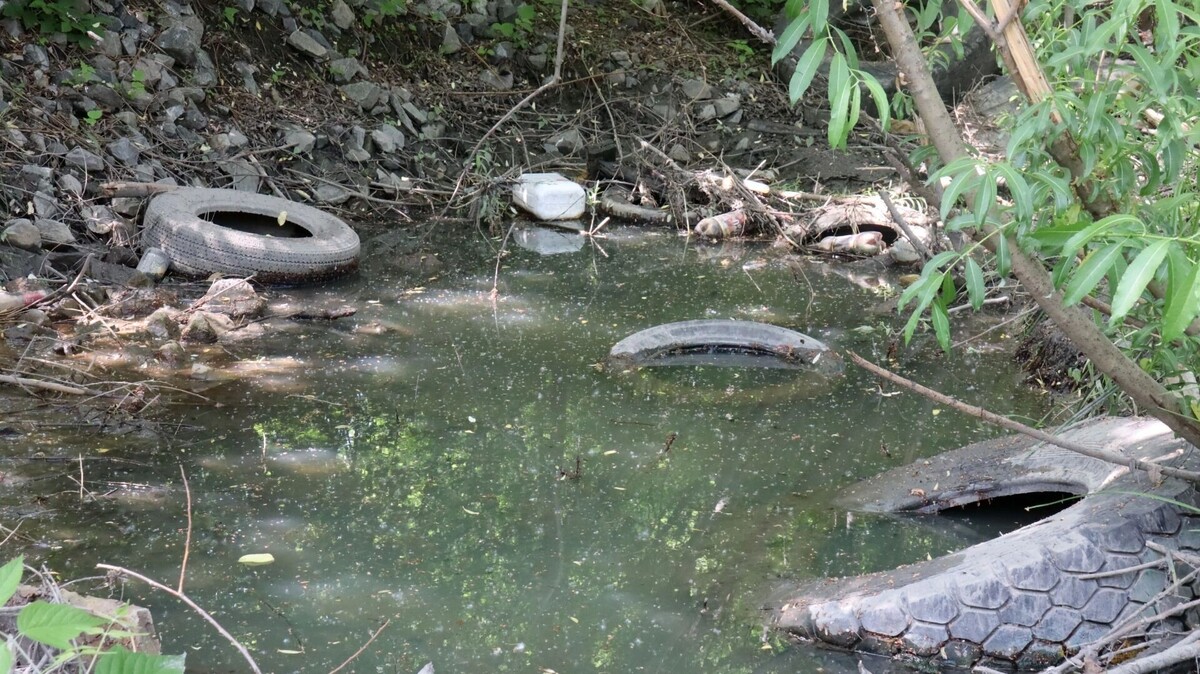     Автор: Артем Шершнев Источник: atas.info