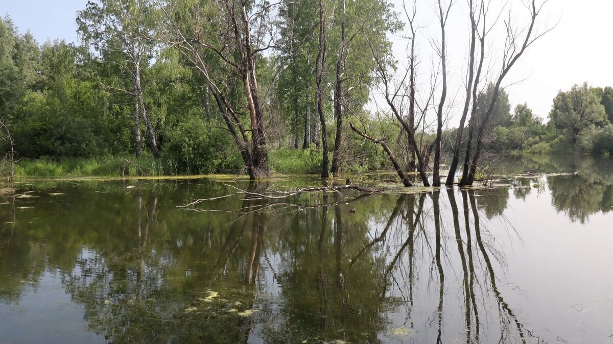     Автор: Артем Шершнев Источник: atas.info