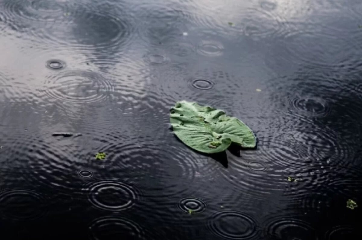    Похолодание и дожди: какая погода будет в Хабаровске и крае 17 июня