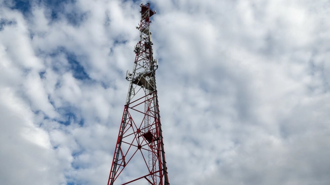    Фото: Shatokhina Natalia/Globallookpress