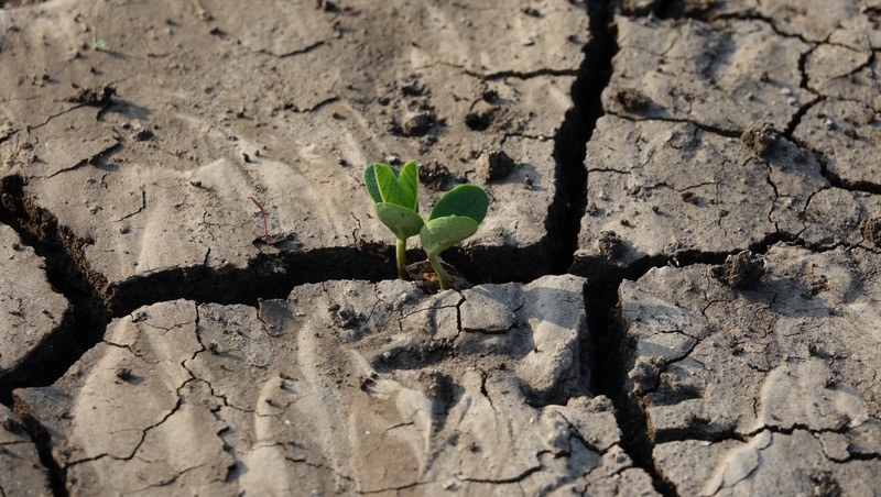 Фото: @lachetas / freepik.com
