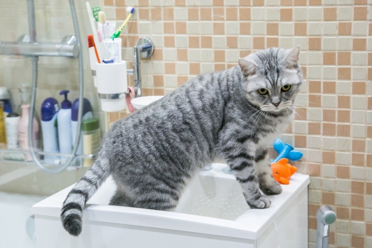    фото Алексея Танюшина