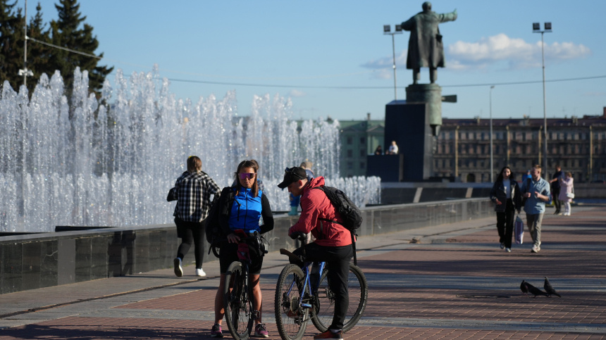    Фото: ИЗВЕСТИЯ/Дмитрий Коротаев; 5-tv.ru