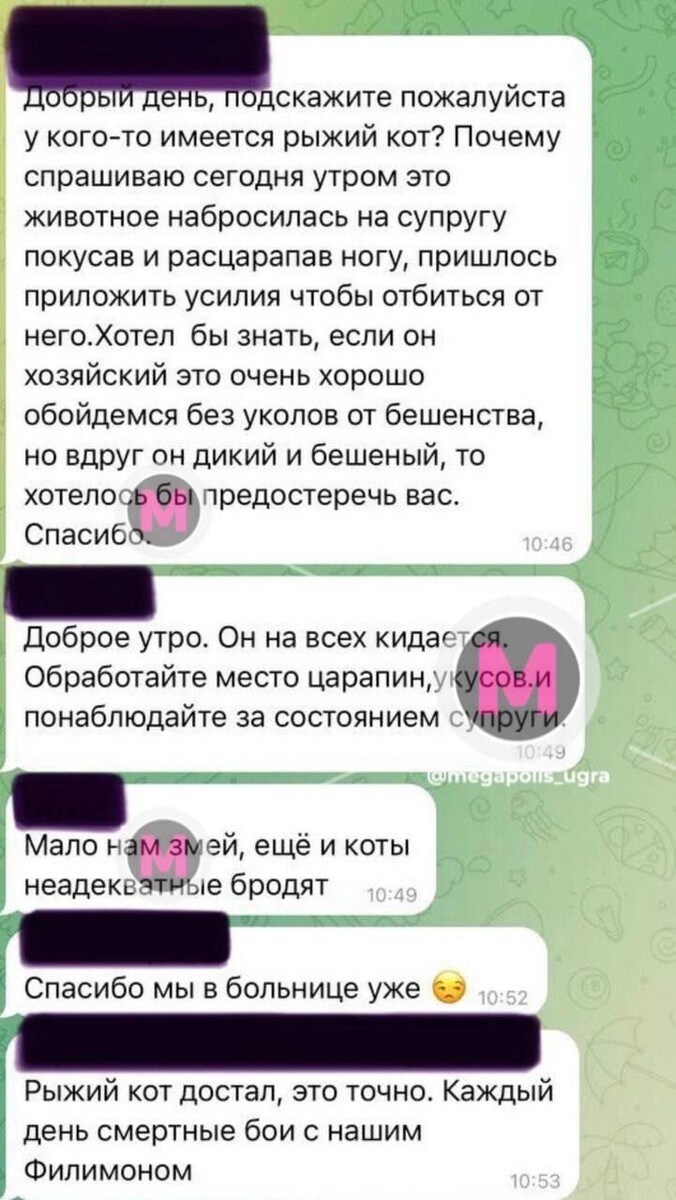     Источник: тг-канал Мегаполис