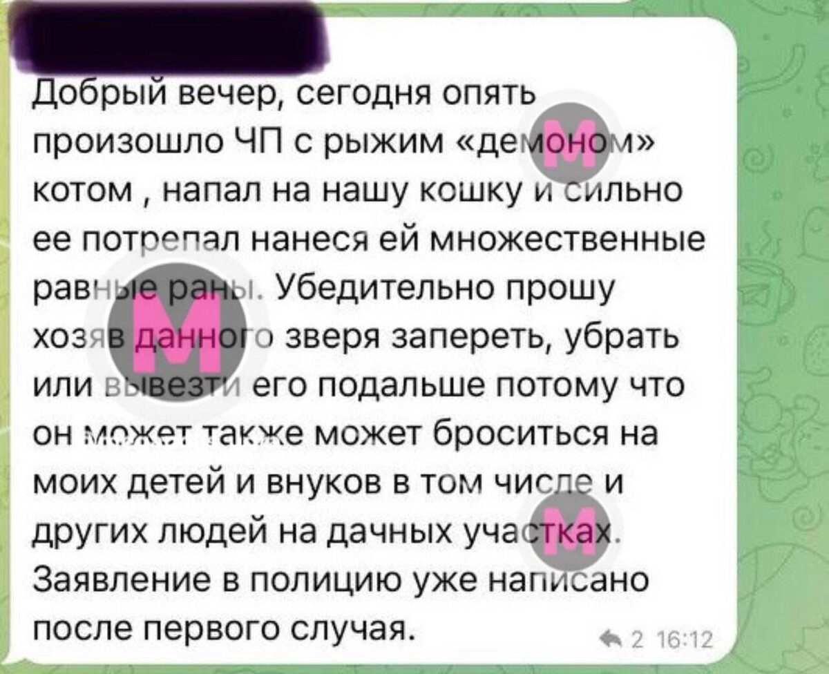     Источник: тг-канал Мегаполис