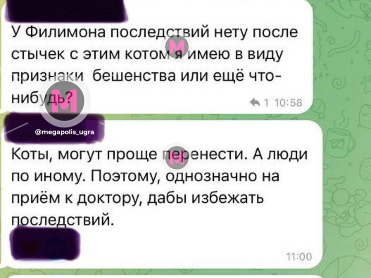     Источник: тг-канал Мегаполис