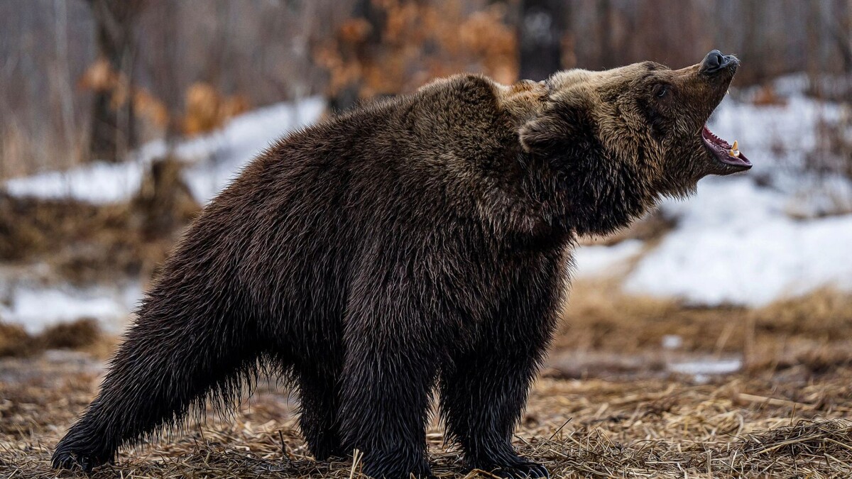    Фото: Suvorov_Alex/Shutterstock/Fotodom