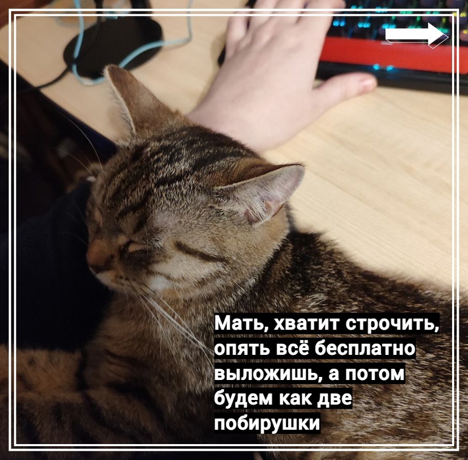 Зришь в корень, котик.