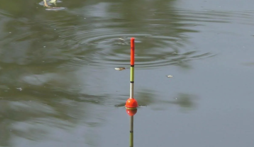 Ловля карася на поплавочную удочку. Источник фото kasheloff.ru