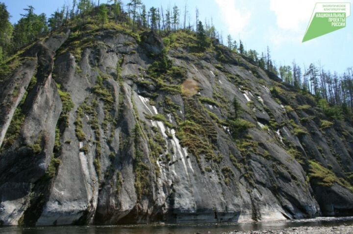    Фото:пресс-служба правительства Хабаровского края